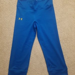 Under Armour heat gear leggings.  Blue w/gold